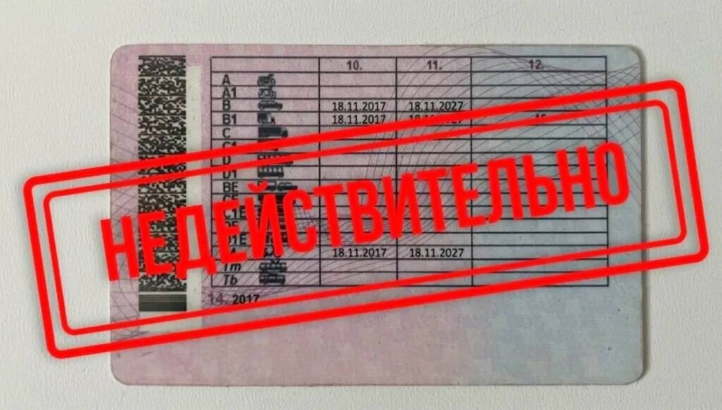 Элистинский городской суд удовлетворил иск прокуратуры Целинного района об аннулировании водительского удостоверения, выданного местному жителю за взятку.