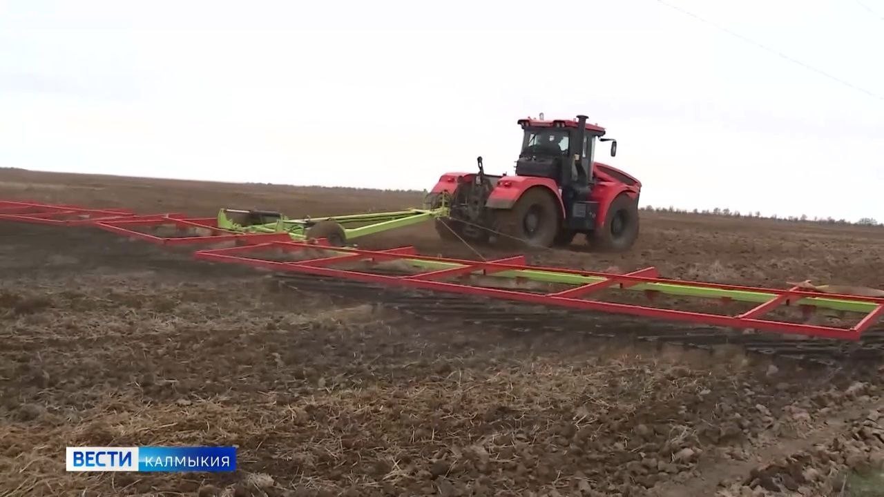 Калмыкии выделили еще 20 миллионов рублей на поддержку малых форм хозяйствования.