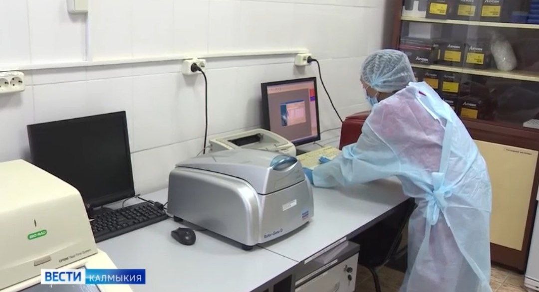 В России распространяется гонконгский грипп, известный как штамм H3N2.