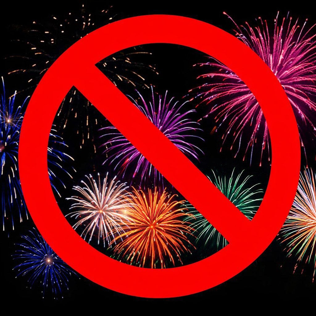 Республика Калмыкия вошла в число российских регионов, где в новогодние праздники полностью запрещено использование пиротехники.