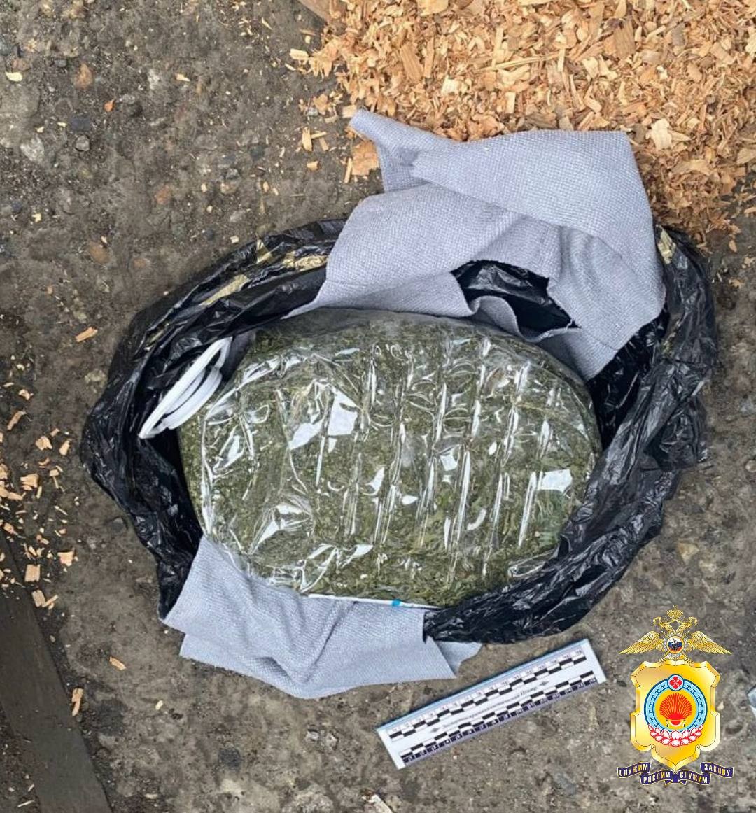 В Элисте задержан мужчина, подозреваемый в хранении наркотиков.