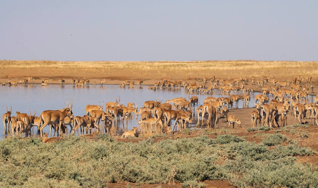 Сегодня — День заповедников и национальных парков.