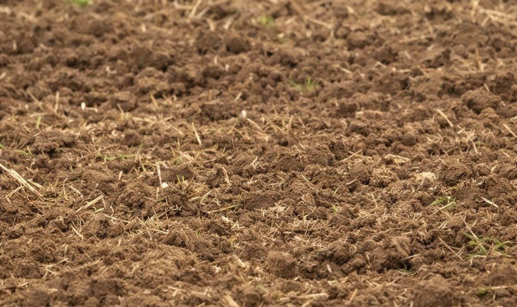 Росприроднадзор предъявил иск  нефтяной компании в Калмыкии за ущерб почвам