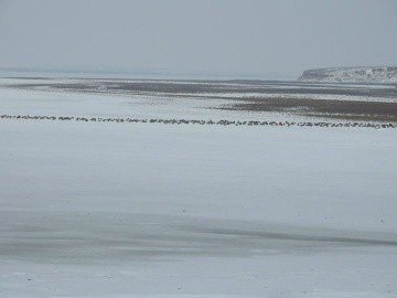️Сегодня отмечается Всемирный день водно-болотных угодий