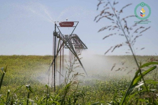 В Калмыкии введут в оборот земли сельхозназначения в трёх районах.