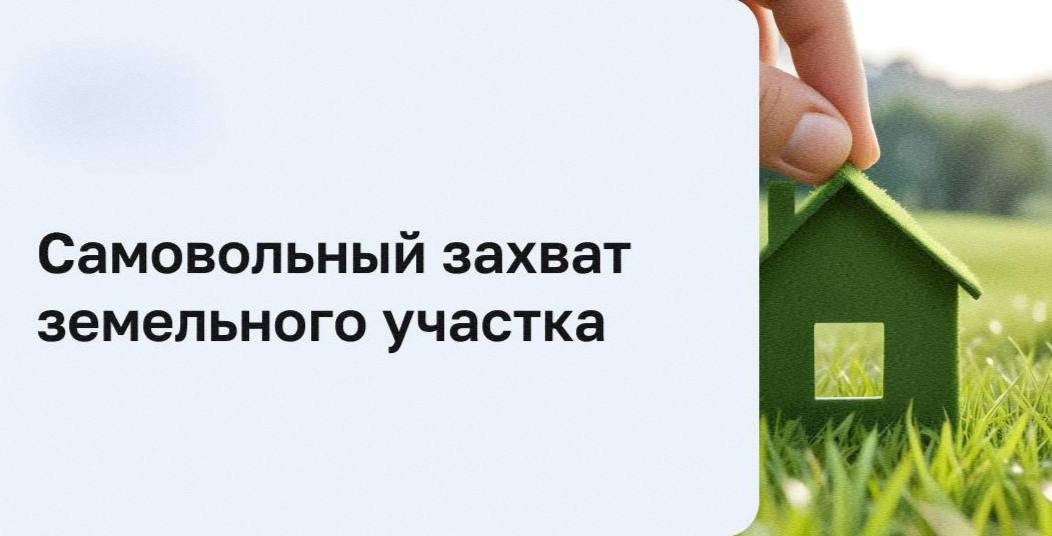 В Приютненском районе выявили самовольное занятие земельного участка.