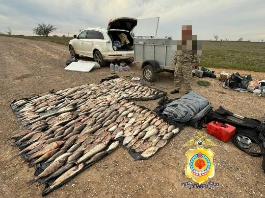 ️В Юстинском районе задержан житель Краснодарского края, незаконно выловивший более трёхсот экземпляров рыб.