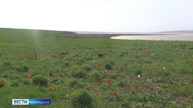 Сегодня — Международный день Земли.