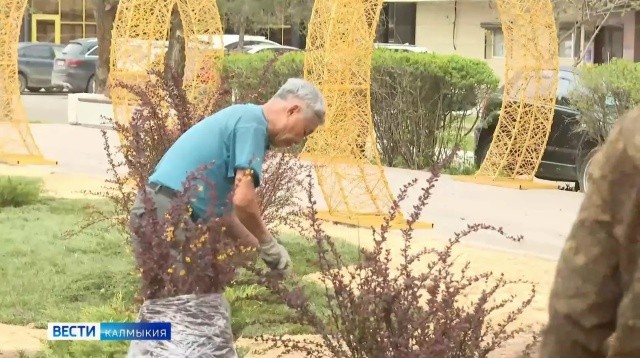 Весенние посадки деревьев в Элисте продолжаются.
