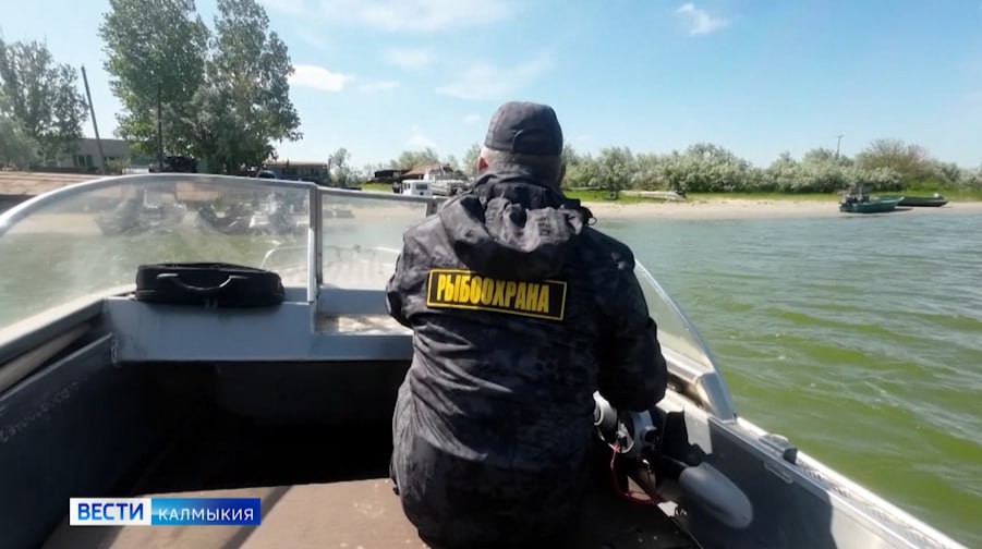 В Калмыкии до конца года запрещён любительский лов воблы и плотвы.