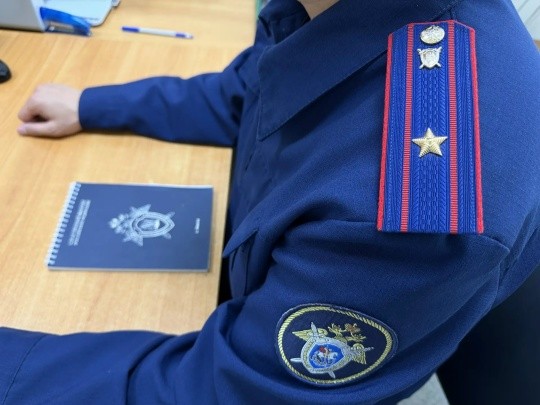 В Калмыкии двое жителей Лагани признаны виновными в мошенничестве при получении субсидий.