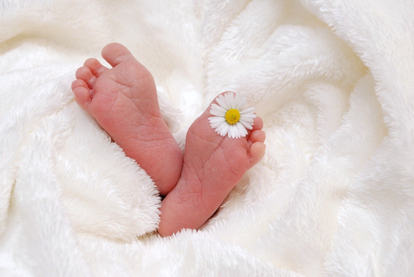 В Калмыкии 2 393 семьи получают ежемесячную выплату при рождении первенца