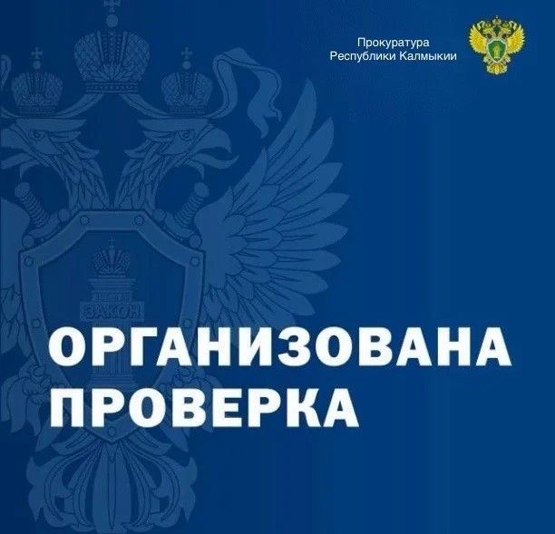 Прокуратура Малодербетовского района проверяет обстоятельства природного пожара