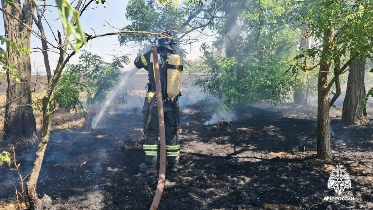 В Городовиковском районе ликвидировали возгорание травы у трансформаторной подстанции
