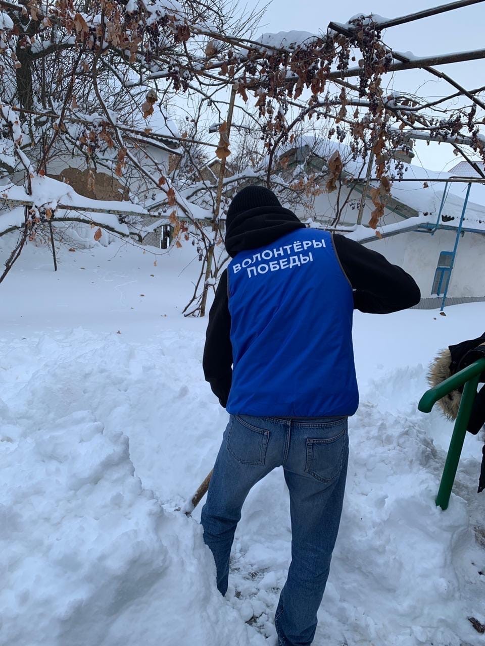 Волонтёры помогают пожилым людям и ветеранам войны с очисткой снега на придомовых территориях